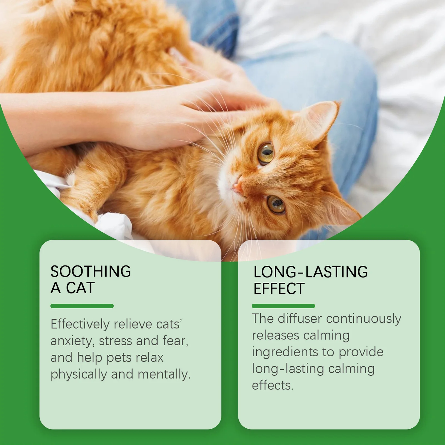Cat Diffuser w/ Refill