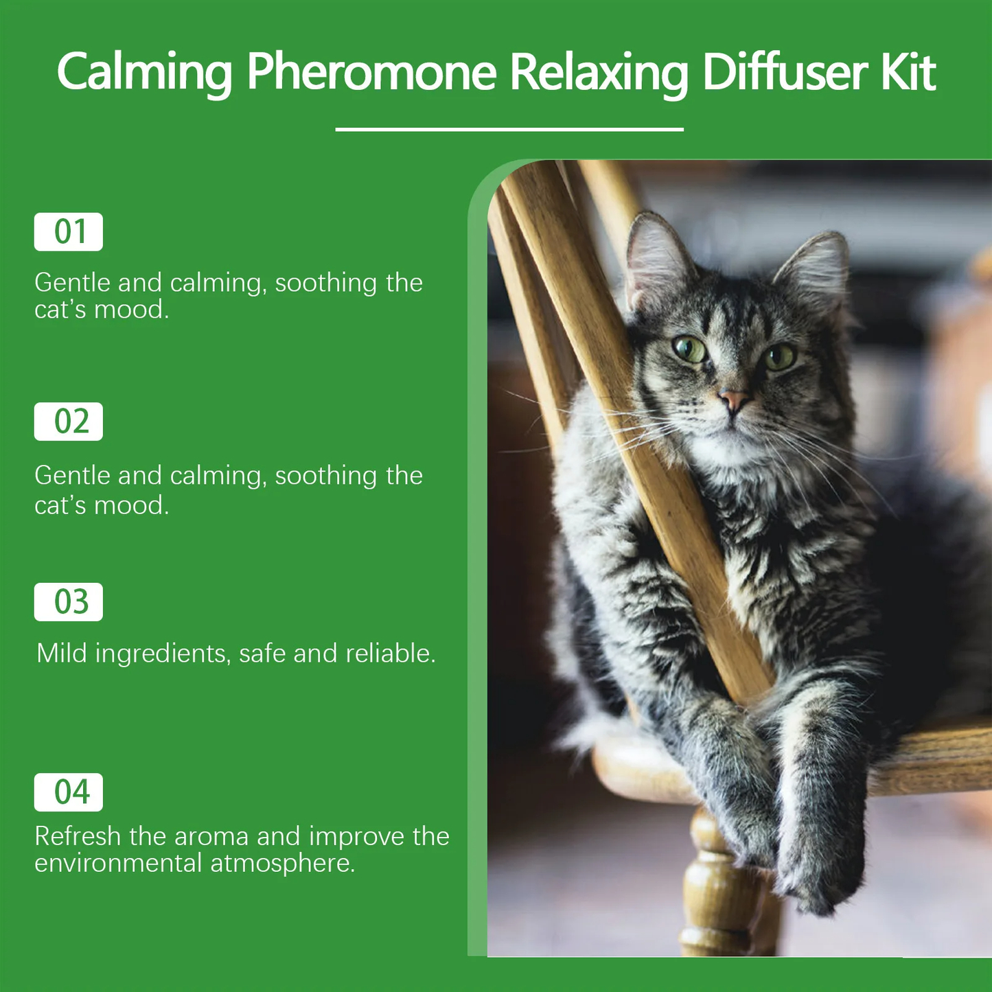 Cat Diffuser w/ Refill