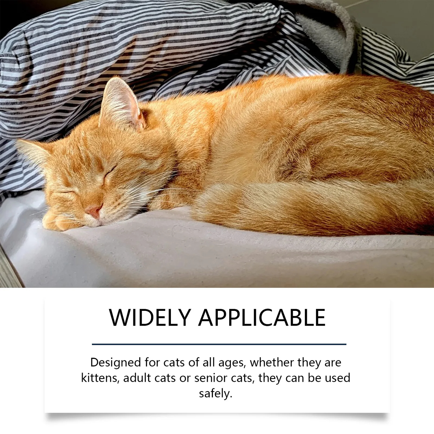 Cat Diffuser w/ Refill