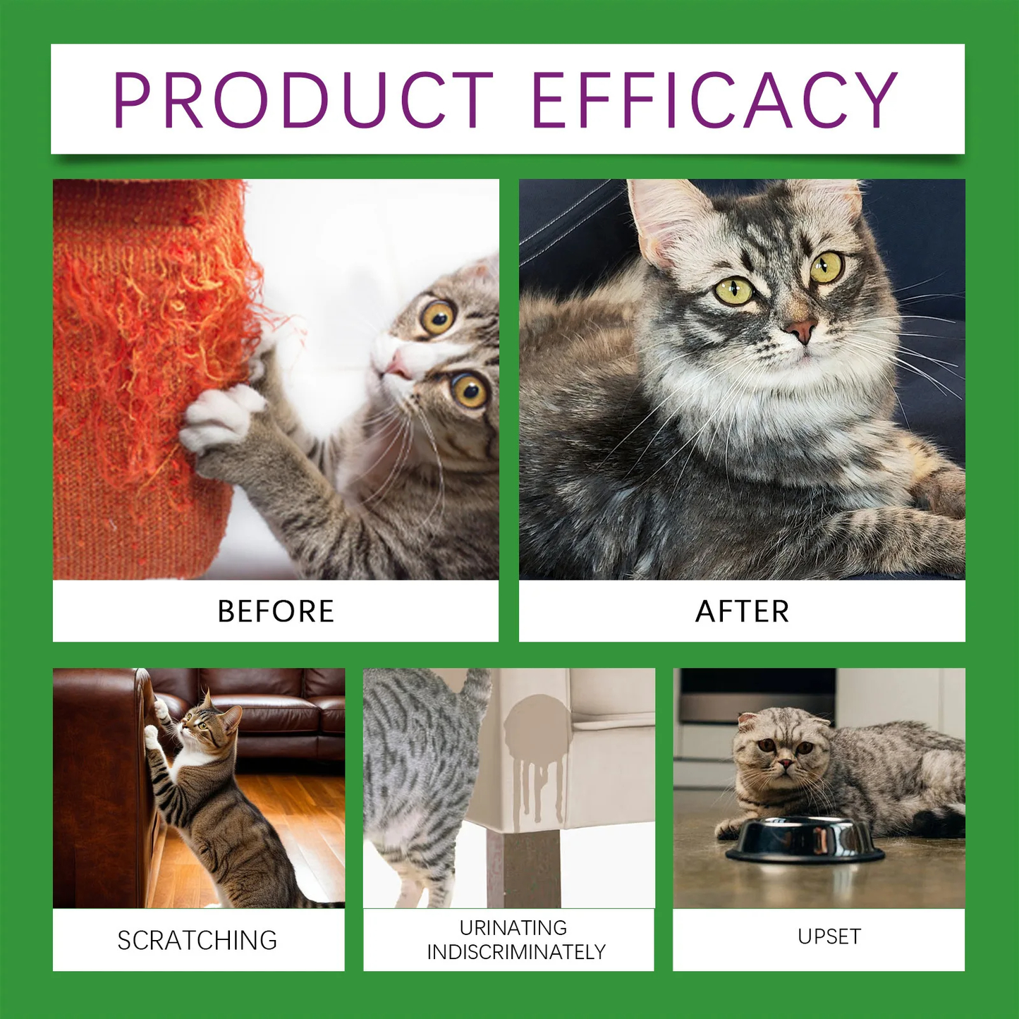 Cat Diffuser w/ Refill
